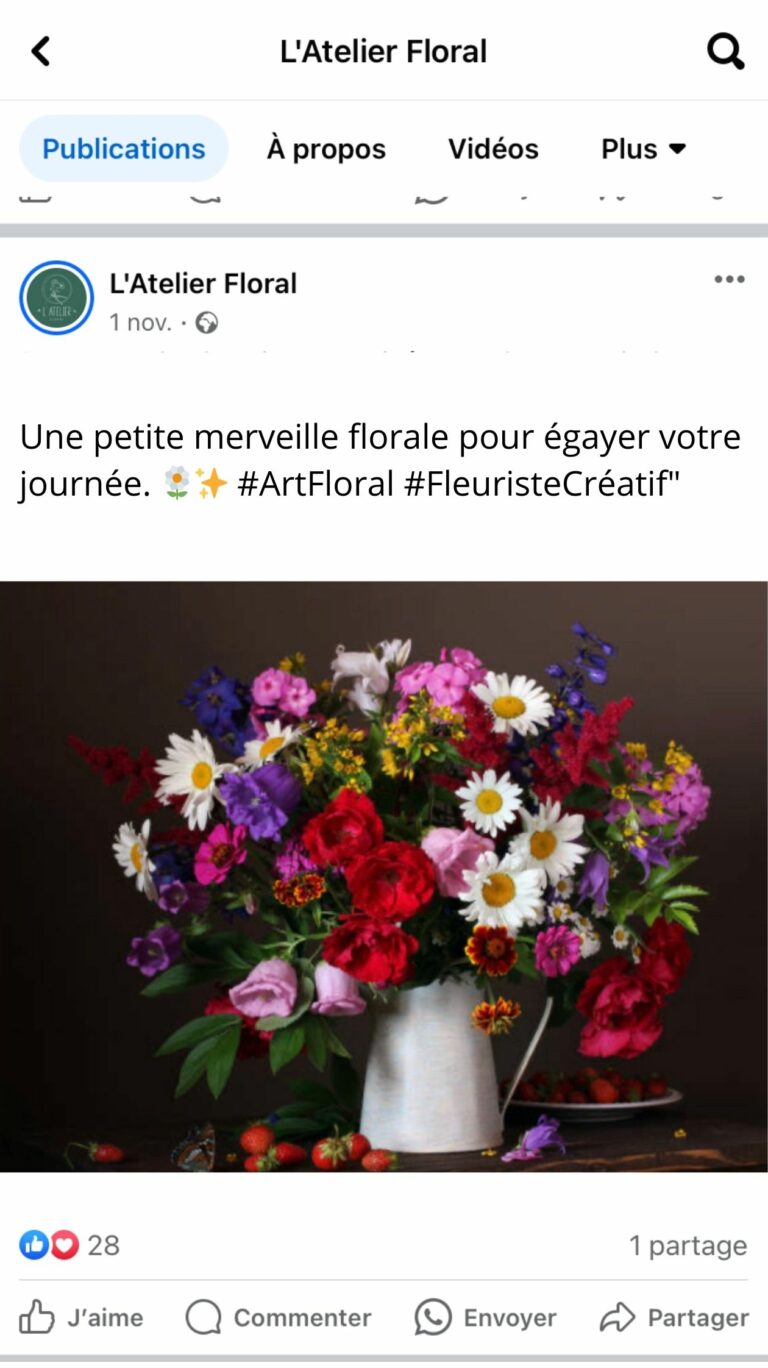 Design sans titre (3)