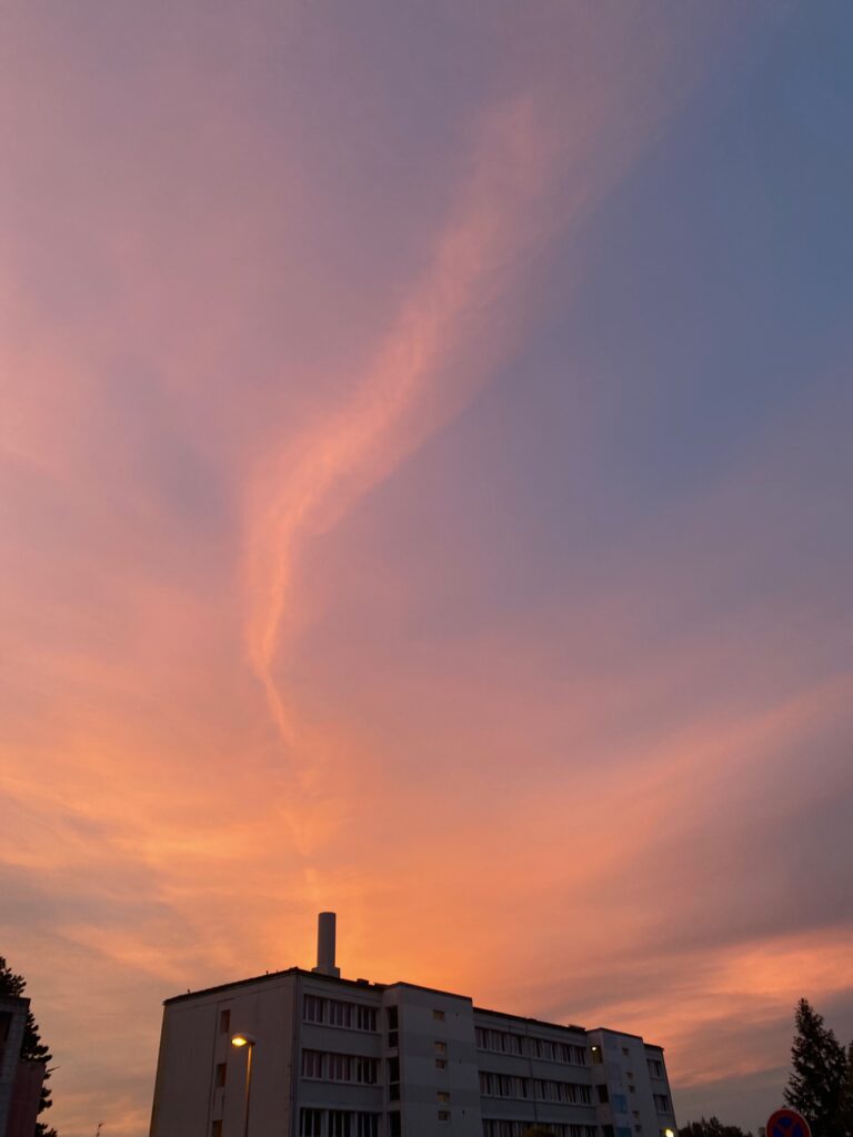 IMG_9050